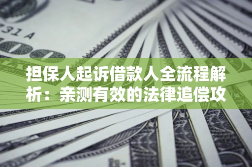 济南担保人起诉借款人全流程解析：亲测有效的法律追偿攻略