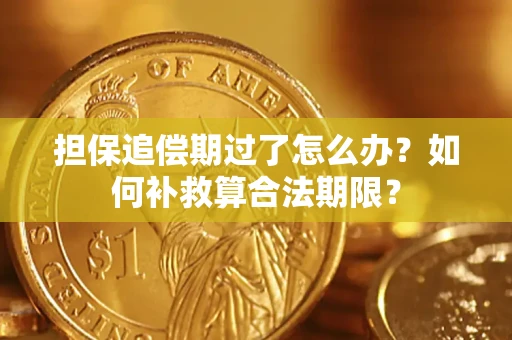 济南担保追偿期过了怎么办？如何补救算合法期限？